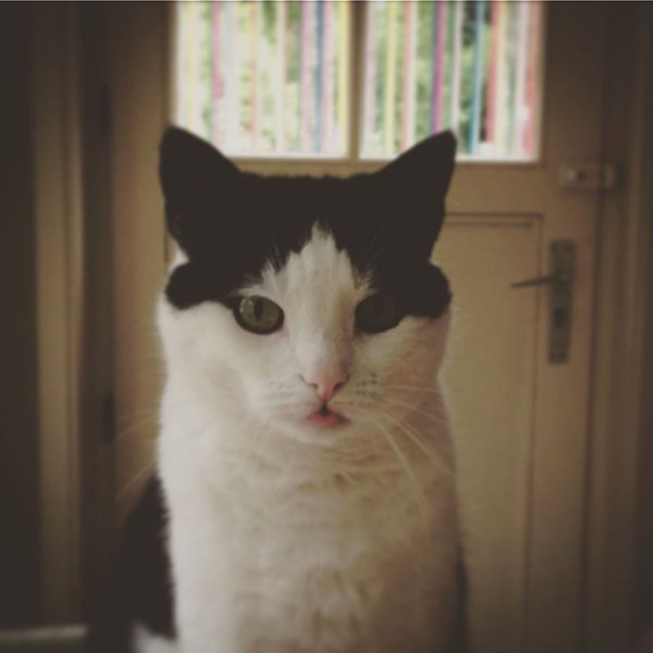 lola-3