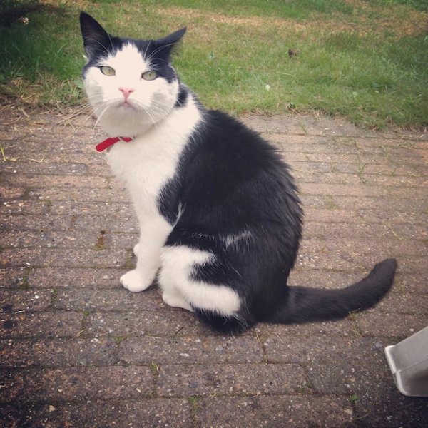 lola-5